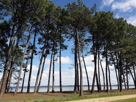 conciergerie-biscarrosse conciergerie-biscarrosse