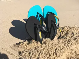 Biscaia noire et bleue Biscaia noire et bleue