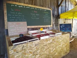 IMG_20210705_133240 IMG_20210705_133240