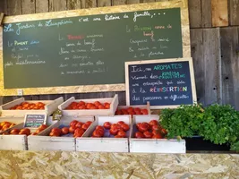 IMG_20210705_133309 IMG_20210705_133309