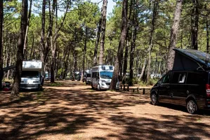 aire-camping-cars-le-vivier-biscarrosse aire-camping-cars-le-vivier-biscarrosse