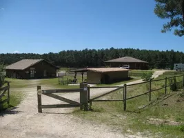ranch 2" ranch 2"