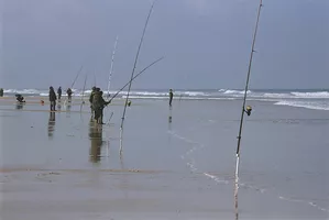 surfcasting surfcasting
