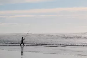 surfcasting-peche-bisca surfcasting-peche-bisca