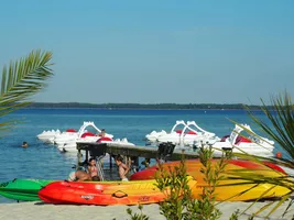 IMG_4839 (1) IMG_4839 (1)