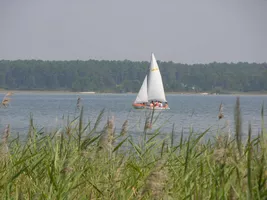 caravelle roseau paysage caravelle roseau paysage
