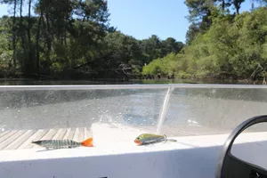 pêche-en-eau-douce5-grands-lacs-landes pêche-en-eau-douce5-grands-lacs-landes