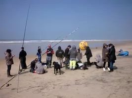 surfcasting_New1 surfcasting_New1