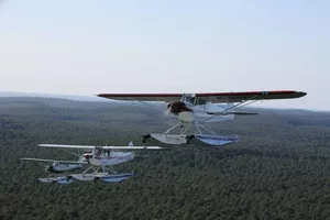 BISK9523_preview BISK9523_preview