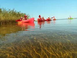 kayak kayak