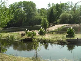 Pêche à la truite-parentis-env2 Pêche à la truite-parentis-env2