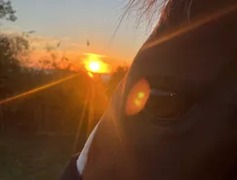 les-ecuries-de-l-hacienda-crepuscule les-ecuries-de-l-hacienda-crepuscule