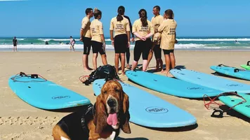 Gang Surf plage - 5 Gang Surf plage - 5