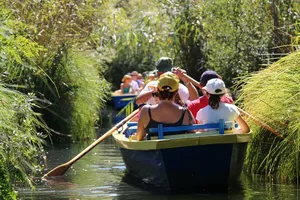 barques-balades-biscarrosse-lac-sud-3 barques-balades-biscarrosse-lac-sud-3