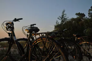 AAA_2199-3-min AAA_2199-3-min