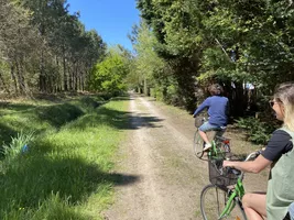 CLICK&BIKE velo vert CLICK&BIKE velo vert