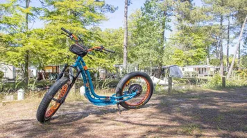 Les vélos de la Plage forêt Les vélos de la Plage forêt