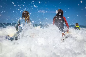 surf-bisca surf-bisca