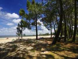 etang-de-biscarrosse etang-de-biscarrosse