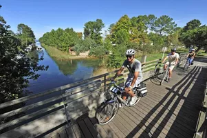 velodyssee-biscarrosse-nature-velo velodyssee-biscarrosse-nature-velo