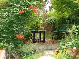 dunevoile-chambre d-hotes-jardin dunevoile-chambre d-hotes-jardin
