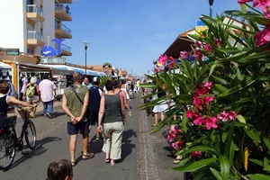 bisca-rue-commerces-centre-station