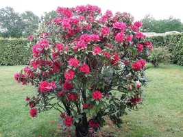 14 Jardin 14 Jardin