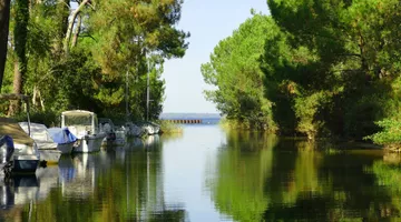 lac-bisca lac-bisca