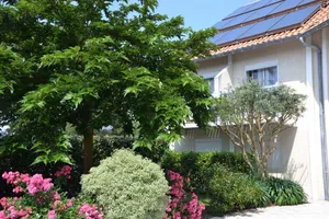 hotel-les-vagues-jardin-chambre hotel-les-vagues-jardin-chambre