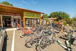 Location de vélos Location de vélos