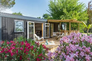 Cottage premium Cottage premium