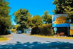 DSC-0425-3 DSC-0425-3