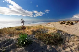 plage-oceane-bisca plage-oceane-bisca