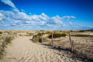 plage-oceane-biscarrosse plage-oceane-biscarrosse