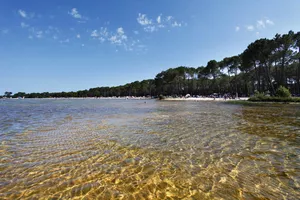 Bisca-lac Bisca-lac