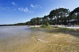 Biscarrosse-lac-maguide Biscarrosse-lac-maguide