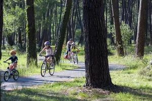 velo-pistes-cyclables-foret-bisca velo-pistes-cyclables-foret-bisca