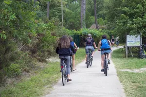 velo-sanguinet-landes velo-sanguinet-landes