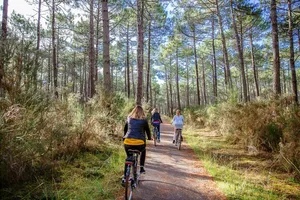 velo-vivier-biscarrosse velo-vivier-biscarrosse