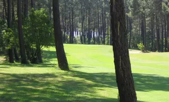 golf-de-biscarrosse-2 golf-de-biscarrosse-2