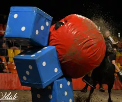 top-a-la-vachette-arenes-bisca top-a-la-vachette-arenes-bisca