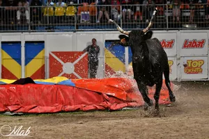 top-a-la-vachette-biscarrosse top-a-la-vachette-biscarrosse