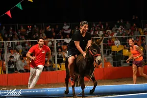 top-a-la-vachette-spectacle top-a-la-vachette-spectacle