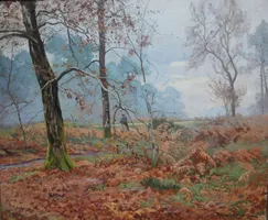 Tableau_RAOUL DOSQUE LES FOUGERES__Conservatoire_Landes_Gascogne Tableau_RAOUL DOSQUE LES FOUGERES__Conservatoire_Landes_Gascogne