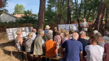Gemmage_Expose__Conservatoire_Landes_Gascogne Gemmage_Expose__Conservatoire_Landes_Gascogne