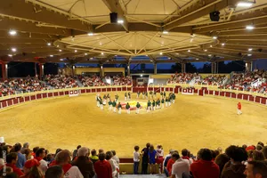 ARENES_PARENTIS ARENES_PARENTIS