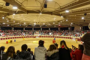 02- ARENES_PARENTIS 02- ARENES_PARENTIS