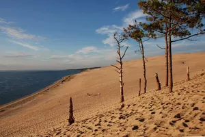 Dune du Pilat Dune du Pilat