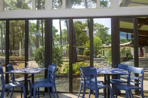 VTF-bisca-resto VTF-bisca-resto