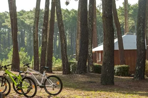 VTF-bisca-vélos VTF-bisca-vélos